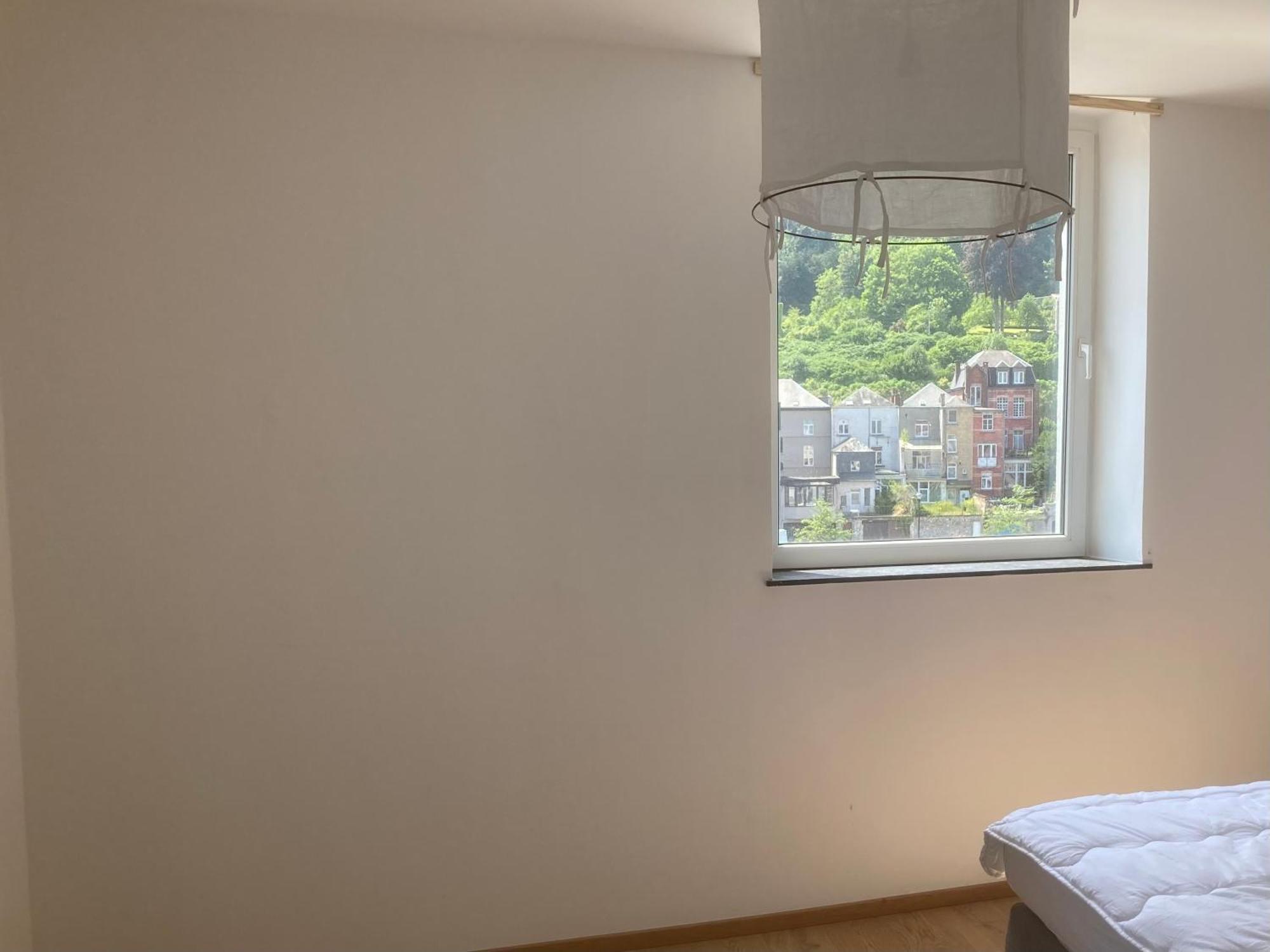 Les Terrasses De Sax Bed & Breakfast Dinant Eksteriør bilde